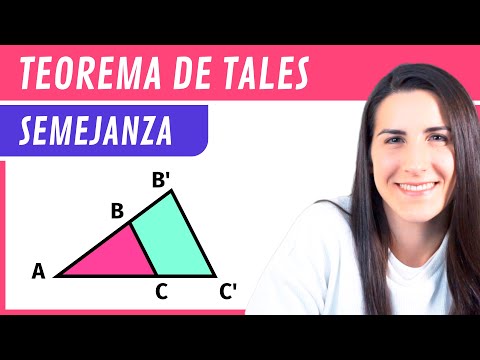 El teorema de Tales: una herramienta fundamental en la geometría del triángulo