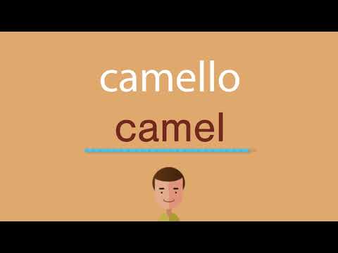Cómo se escribe camello en inglés: guía completa para aprender la traducción correcta
