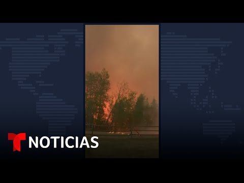Identificando a los responsables de los incendios forestales