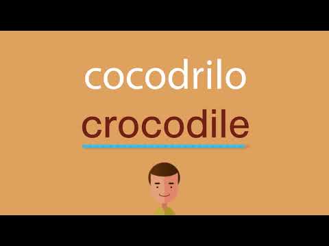 Aprende cómo se dice cocodrilo en inglés