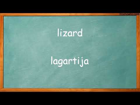 La traducción de reptil al inglés