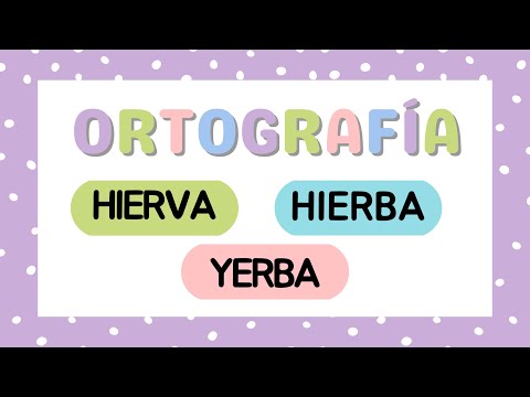 La correcta escritura de hierbas o hierbas en español