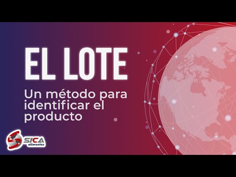 El significado de lote en un producto y su importancia en la calidad – IESRibera