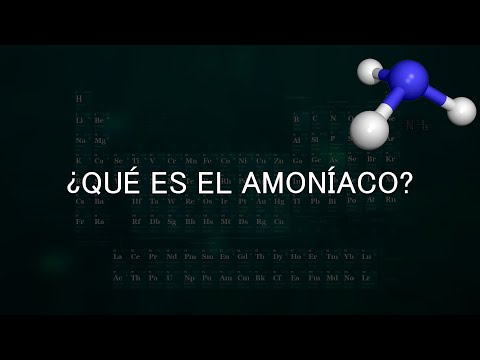 Todo lo que necesitas saber sobre el amonio como ácido o base