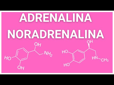 La hormona de la adrenalina: todo lo que necesitas saber
