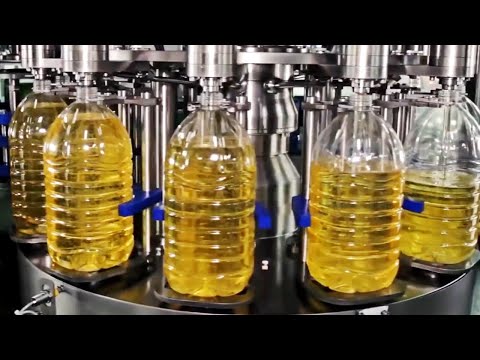 El proceso de obtención del aceite de aceitunas verdes: una joya culinaria