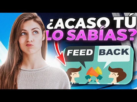 Entendiendo el significado de feed back en español