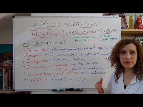 Análisis morfológico de un adjetivo: Identifica sus diferentes formas y funciones