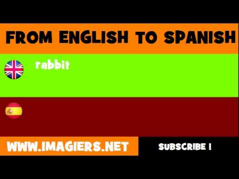 El término en francés para referirse a 'conejo'