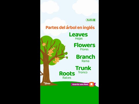 Aprende cómo se escribe árbol en inglés en el blog de IESRibera