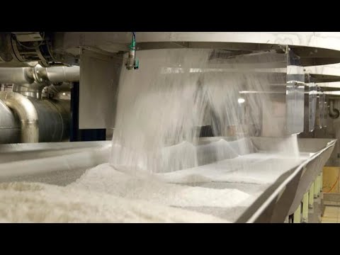 Origen y proceso de obtención del azúcar blanco.