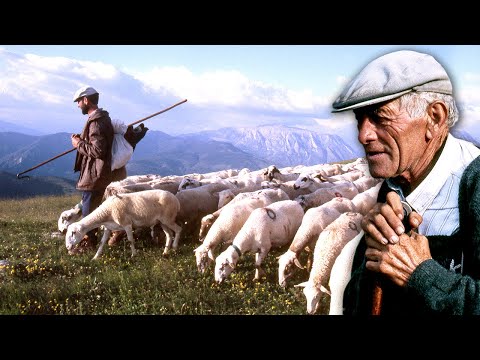 Crucigrama: refugio del pastor y su ganado en la montaña