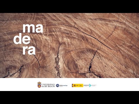 La madera: un recurso imprescindible en carpintería