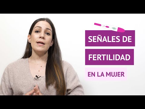 La importancia de la fertilidad en la mujer