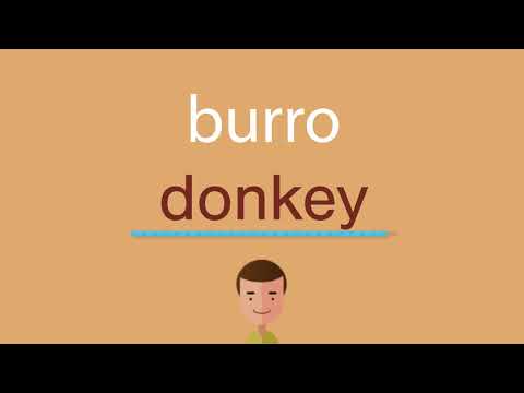 El nombre en inglés de un burro