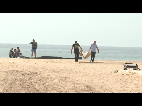 Hallan pierna en la playa de Gandía: Misterioso hallazgo en la costa mediterránea.