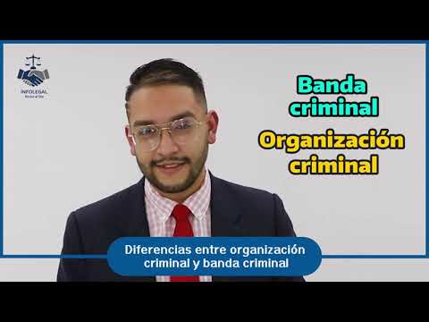Diferencia clave entre grupo y organización criminal: ¿Cuál es?