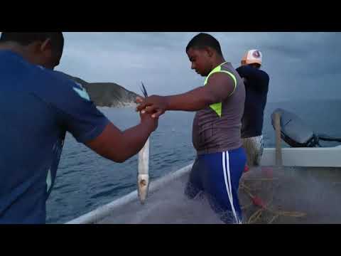 El arte de pesca de redes verticales crucigrama: una técnica milenaria para capturar peces.