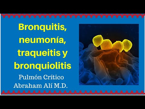 Comparativa: Bronquitis vs. Bronquiolitis, ¿cuál es más grave?