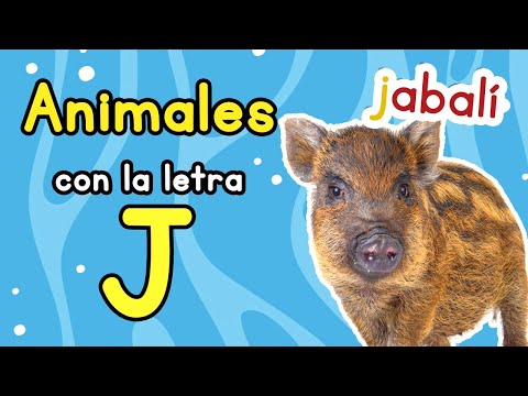 Los animales con la letra J en español