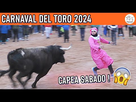 Todo lo que necesitas saber sobre la Plaza de Toros de Palencia en 2024