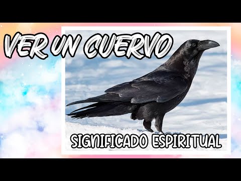El fascinante simbolismo de avistar un cuervo en el ámbito espiritual