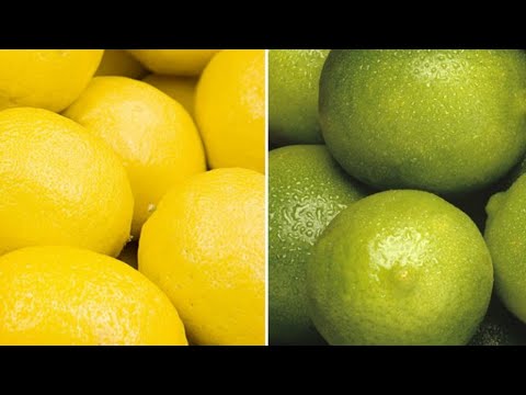 Diferencia entre la lima y el limón: Características y usos.