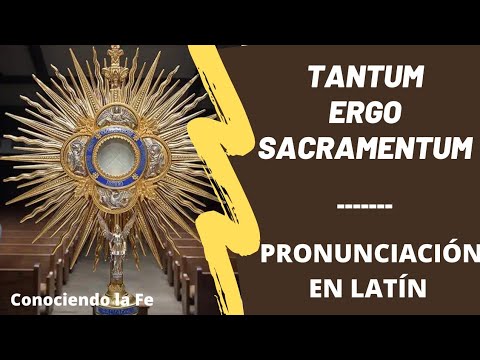 El significado y la historia de Tantum Ergo en español y latín