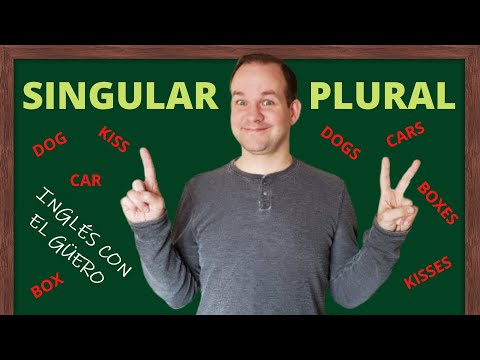 Los fundamentos del singular y plural en inglés