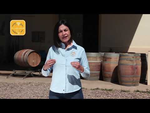 Consejos infalibles para restaurar un barril de vino avinagrado