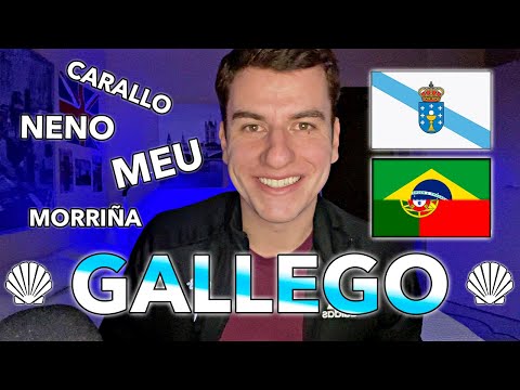 Aprende a saludar en gallego: Boas días
