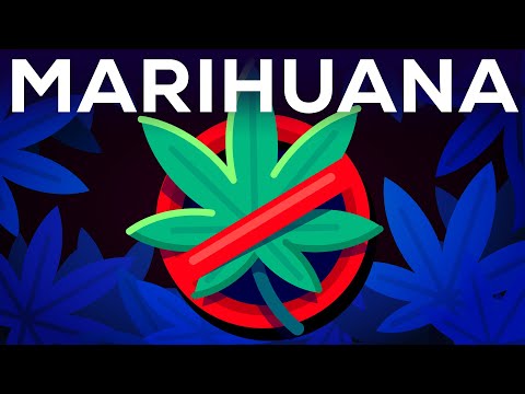 Debate sobre la legalización del cannabis: Argumentos en contra
