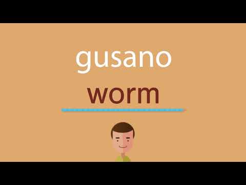 La traducción de la palabra gusano al inglés: significado y uso correcto