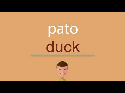 Aprende a escribir la palabra pato en inglés