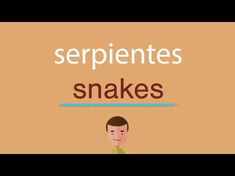 La traducción de serpiente al inglés