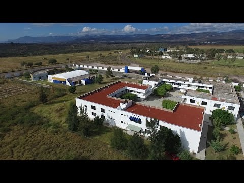 La Universidad Autónoma de Zacatecas: una institución educativa de excelencia