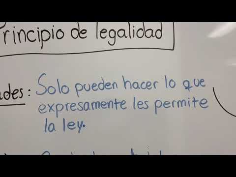 El principio de legalidad: fundamentos y aplicaciones en el sistema jurídico