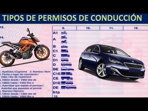 Todo lo que necesitas saber sobre el permiso de conducir en España