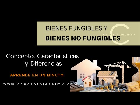 Principales ejemplos de materiales fungibles y no fungibles: ¿Cuál es la diferencia?
