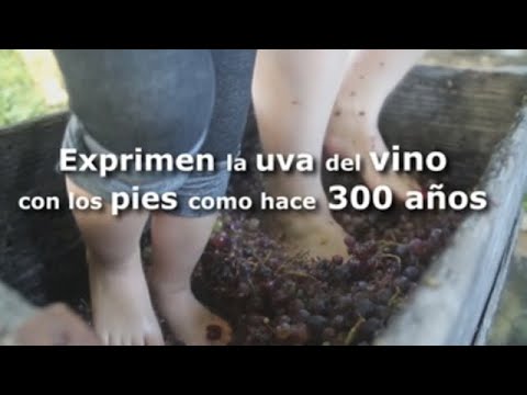 El tradicional lagar: el recipiente donde se pisa la uva