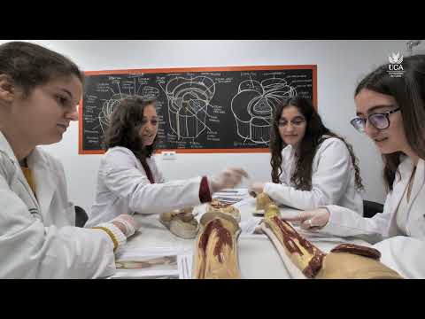 La prestigiosa Facultad de Medicina en Girona: Una formación de excelencia en el ámbito de la salud