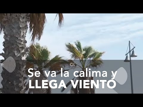 Fin de la calima en Canarias: ¿Cuándo volverá el cielo claro a las Islas?