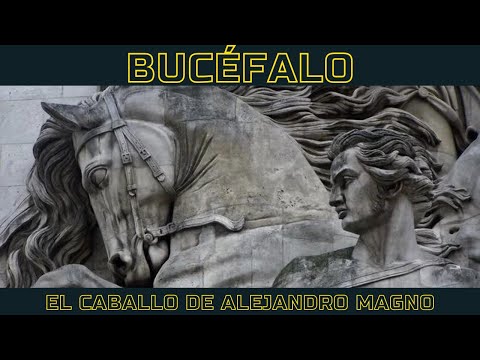 El nombre del caballo de Alejandro Magno
