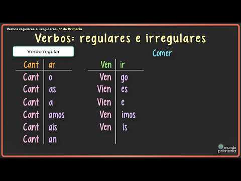 ¿Es conducir un verbo regular o irregular en español? – IESRibera