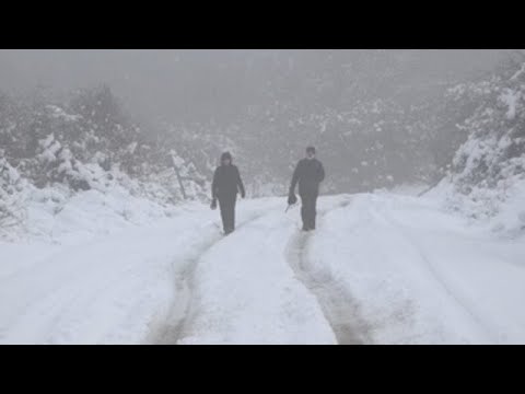 Nieve en España: ¿Dónde puedes disfrutar de paisajes blancos?