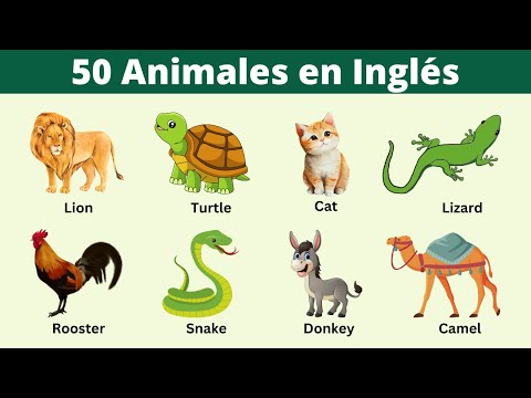 El Animal Perezoso: Conoce su Nombre en Inglés y Aprende a Pronunciarlo
