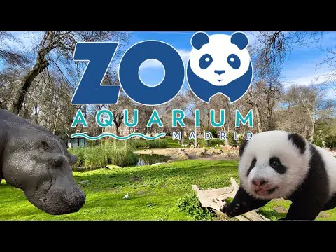 Explora la fascinante experiencia nocturna en el Zoo de Madrid bajo las doce estrellas