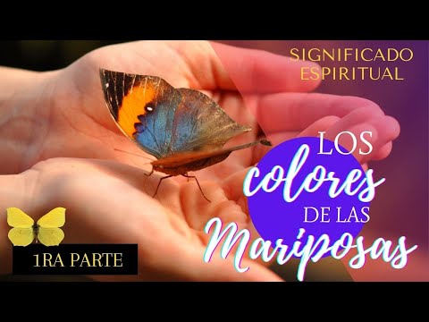 El significado simbólico de los colores en las mariposas