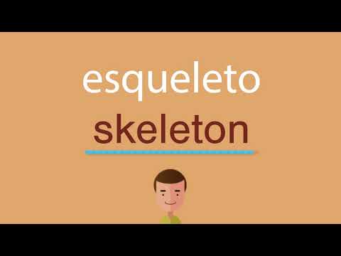 Aprende cómo se escribe esqueleto en inglés en el blog IESRibera
