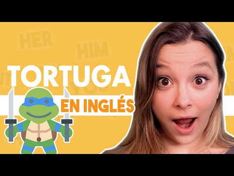 Cómo se escribe tortuga en inglés